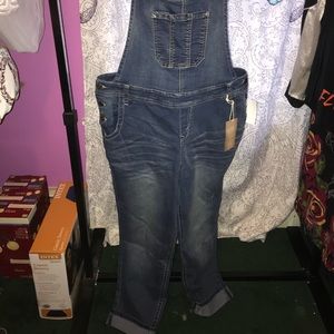 Wallflower Overalls